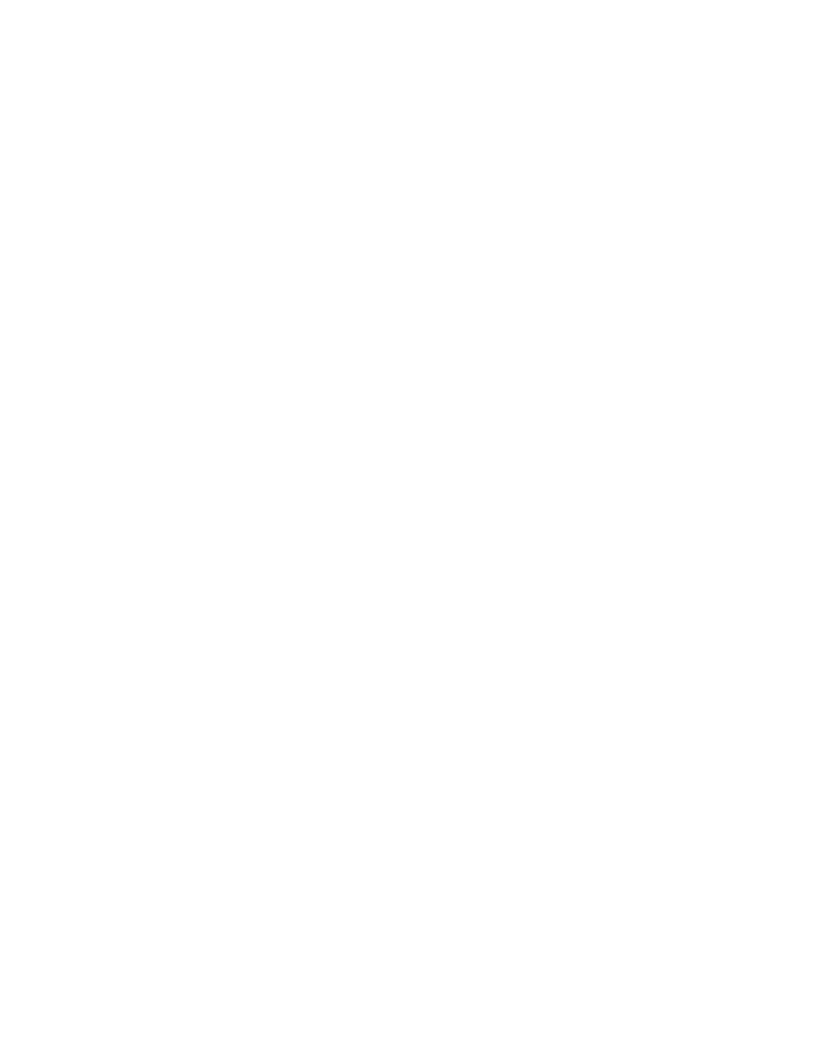 traditionelle