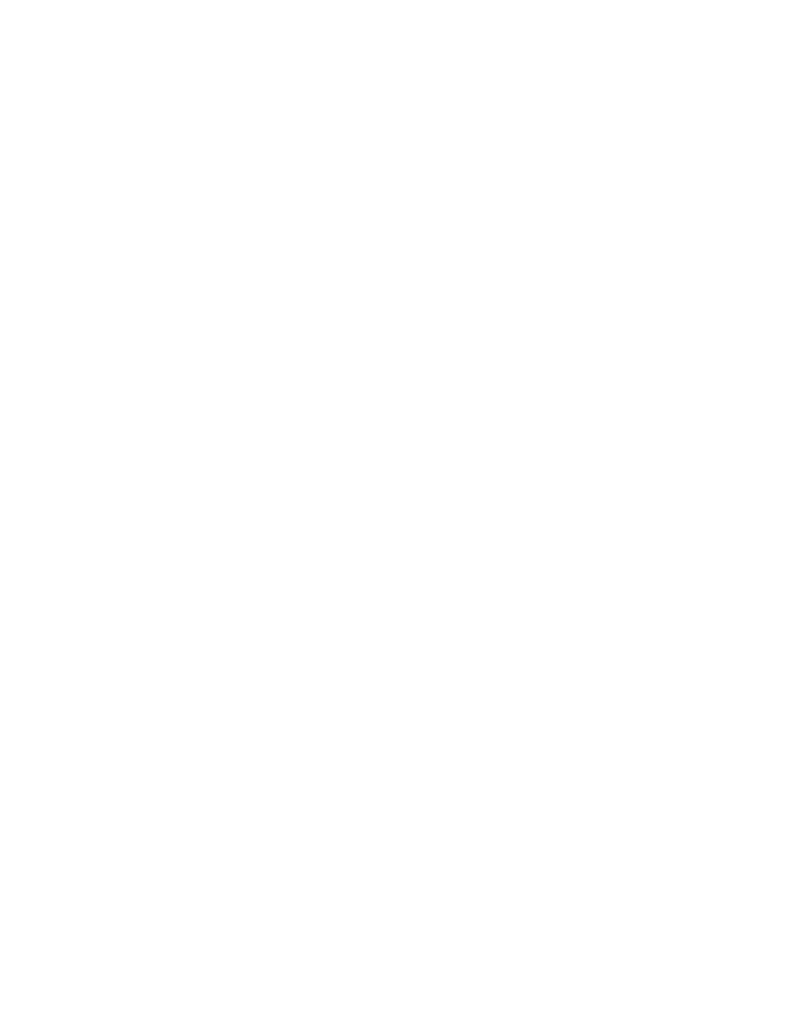 trittplatten